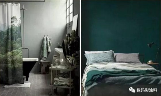 請不要讓你家的墻面裸奔！