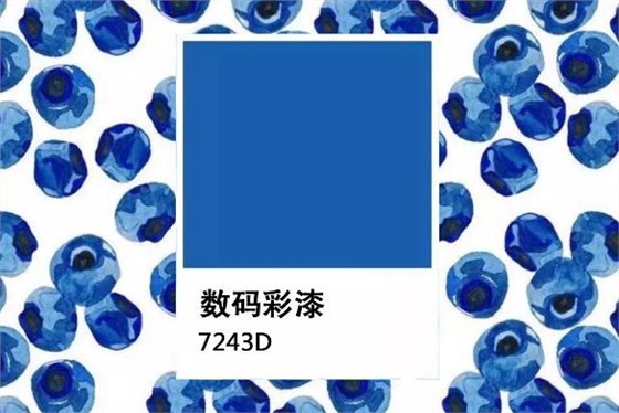 「水果藍(lán)莓色」 深沉&ldquo;感官營養(yǎng)&rdquo;的墻面暗色系