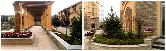 甘肅定西岷縣外墻仿石漆別墅群，筑造&ldquo;東方威尼斯水城&rdquo;