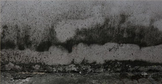 數(shù)碼彩再斬獲深圳小區(qū)56棟40000方外墻涂料翻新工程 數(shù)碼彩再斬獲深圳小區(qū)56棟40000方外墻涂料翻新工程