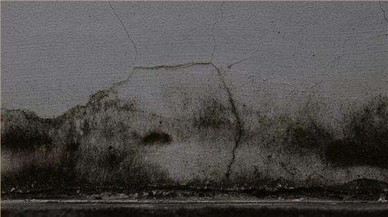 暴雨又又叒叕來報到 深圳坪山小區(qū)外墻涂料滲水如何應(yīng)對