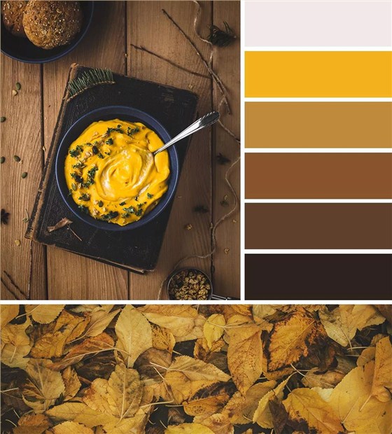 秋日的墻漆搭配，讓我們的生活增加秋日氣息