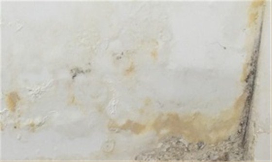 墻面的&ldquo;定妝&rdquo;師&mdash;&mdash;膩?zhàn)影閭H