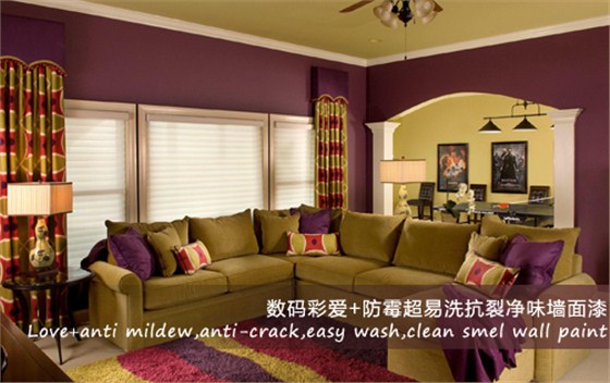 數(shù)碼彩愛+防霉超易洗抗裂凈味墻面漆涂裝效果圖 數(shù)碼彩愛+防霉超易洗抗裂凈味墻面漆涂裝效果圖