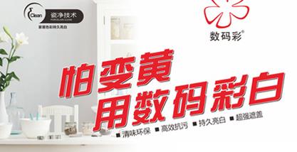 數(shù)碼彩白漆 數(shù)碼彩白漆