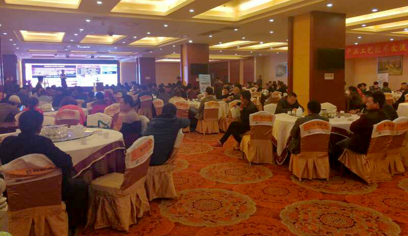 數(shù)碼彩銷售總監(jiān)蔣方海演說致辭會議