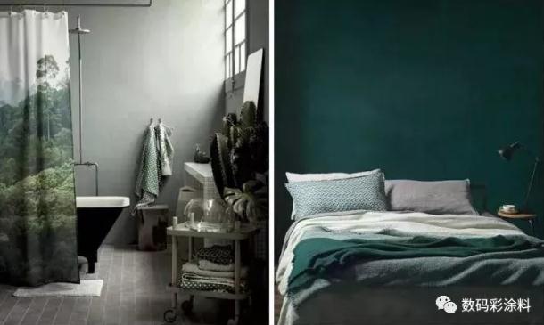 請不要讓你家的墻面裸奔！