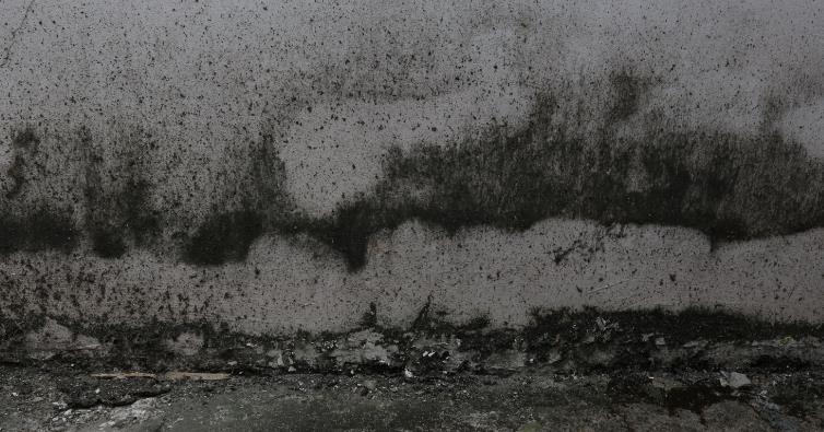 數(shù)碼彩再斬獲深圳小區(qū)56棟40000方外墻涂料翻新工程