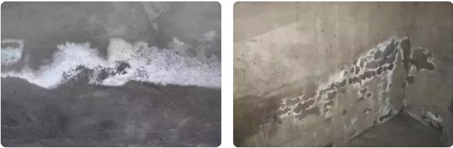 深圳龍崗潮濕暴雨天 奉上墻面防水涂料