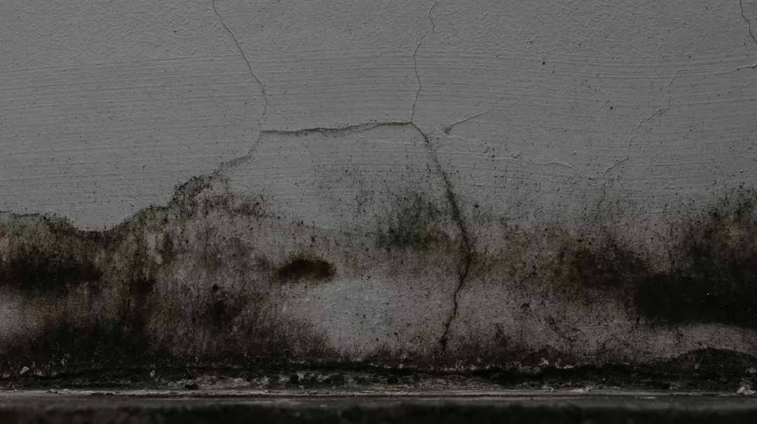 暴雨又又叒叕來報到 深圳坪山小區(qū)外墻涂料滲水如何應對