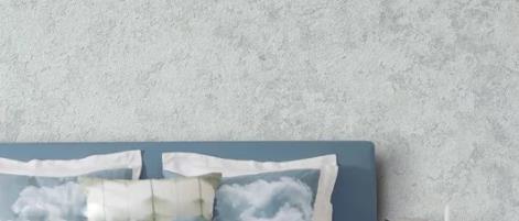 家里裝修用藝術涂料 OR 硅藻泥？