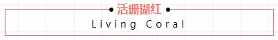 活珊瑚紅