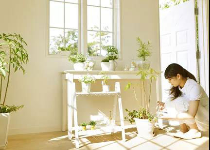 水性木器漆環(huán)保標準全解析4