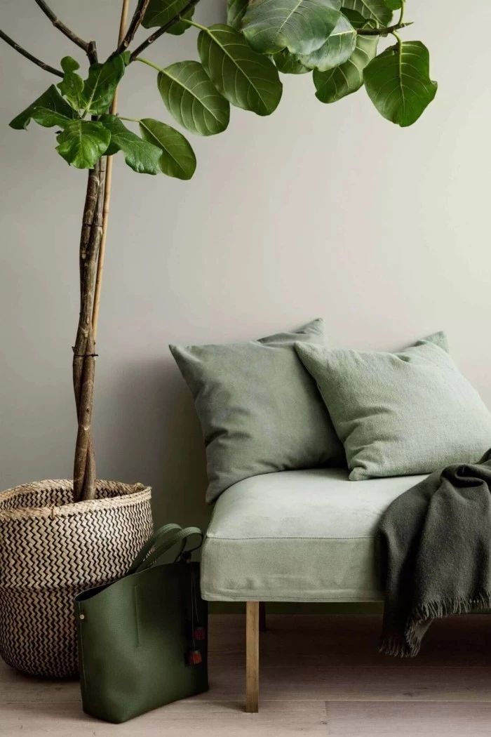 &ldquo;灰綠色&rdquo;遠(yuǎn)離壓力，輕松打造輕奢感