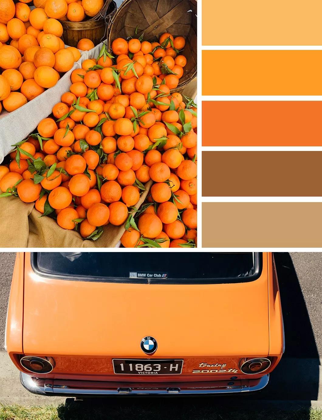 秋日的墻漆搭配，讓我們的生活增加秋日氣息