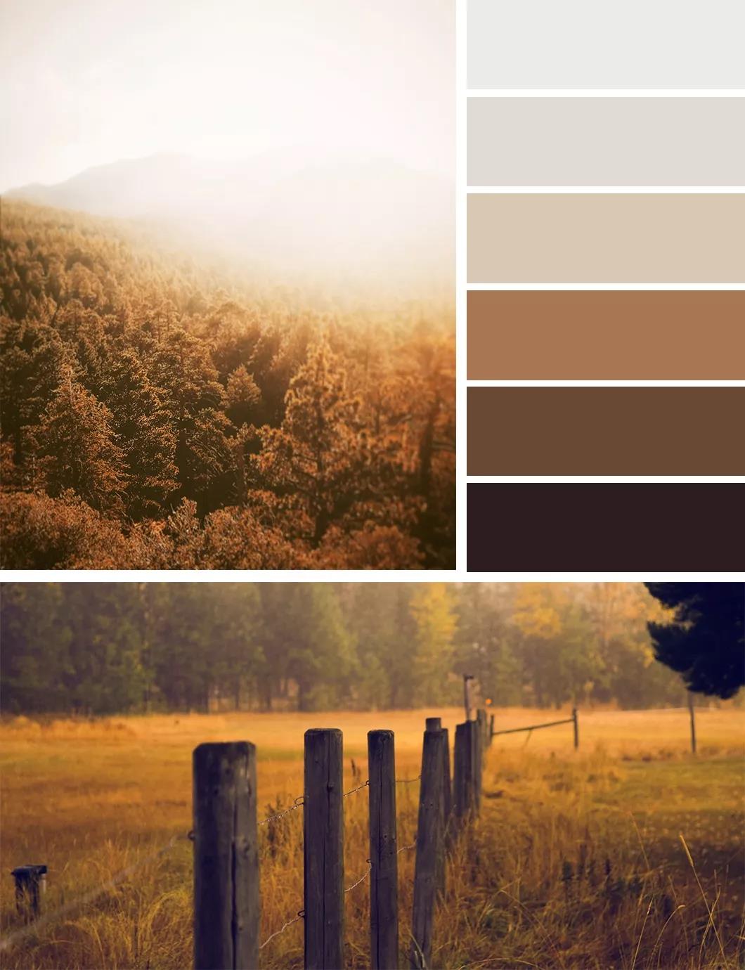 秋日的墻漆搭配，讓我們的生活增加秋日氣息