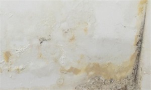 墻面的&ldquo;定妝&rdquo;師&mdash;&mdash;膩子伴侶