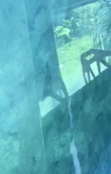 史上最強(qiáng)墻面濾鏡&mdash;&mdash;極亮罩面