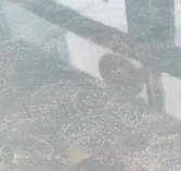 史上最強(qiáng)墻面濾鏡&mdash;&mdash;極亮罩面